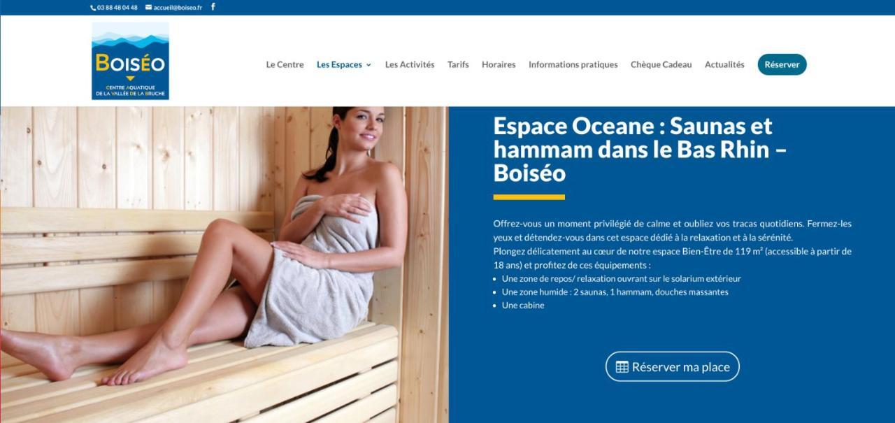 Le Gite Du Chateau Dans Le Centre De Schirmeck Exterior foto